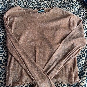 Sparkly Mesh long Sleeve Top!